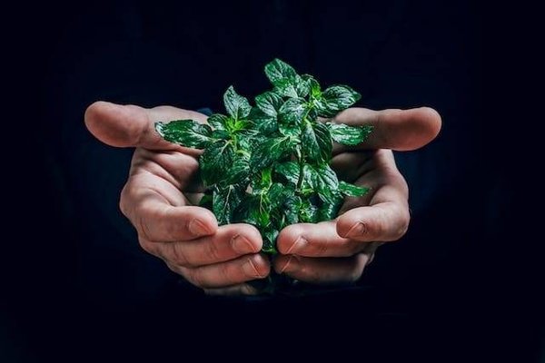 Pourquoi choisir des produits écoresponsables ?